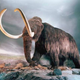 Illustration for article titled Mammoth farts could have stopped the ice age 12,000 years ago